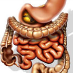 lechenei-zapora-guna-bowel