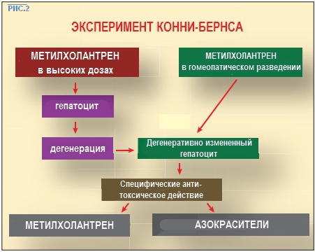 phys2
