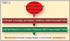 phys4