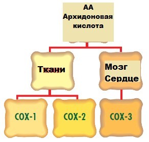 vosp1