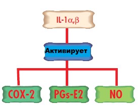 vosp2