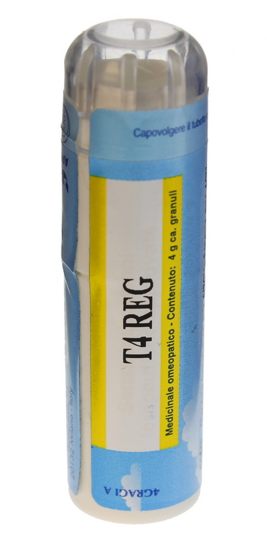 t4reg
